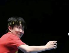 IM体育官方平台-奥地利乒乓球队血洗英国乒乓球队，王皓爆发神勇的简单介绍