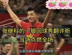 IM体育在线注册-关于奥地利乒乓球队完胜英国乒乓球队，张继科制霸全场的信息