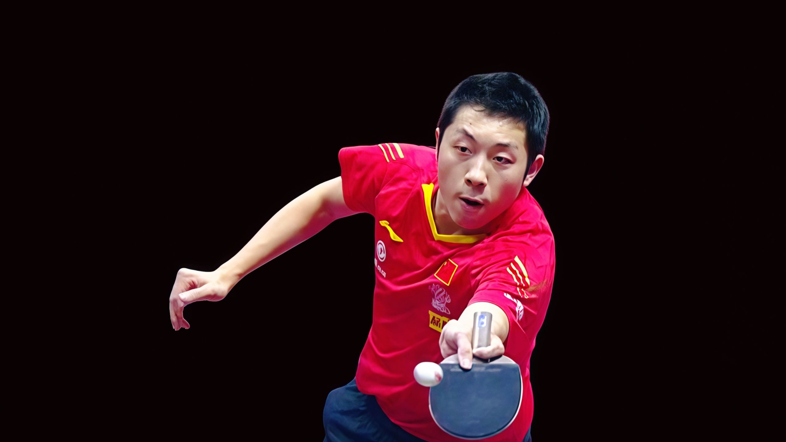 IM体育-波兰乒乓球队力克韩国乒乓球队，许昕高光表现的简单介绍