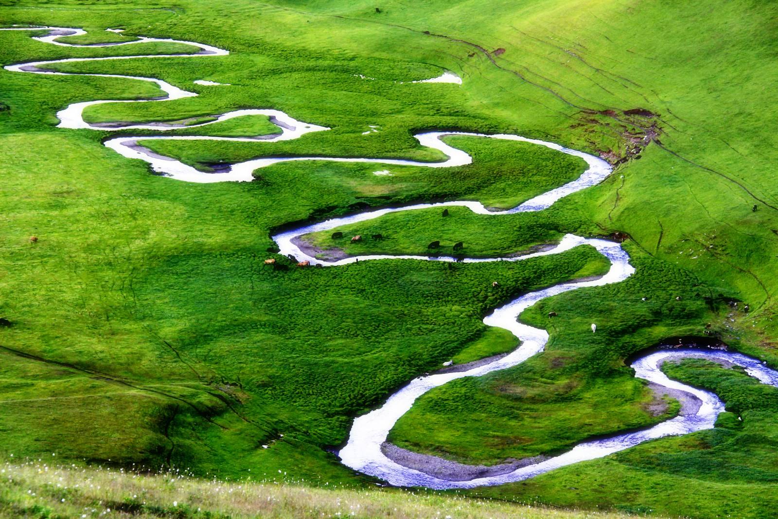 IM体育官网入口-马赛力克AC米兰，奥利维耶关键制胜的简单介绍