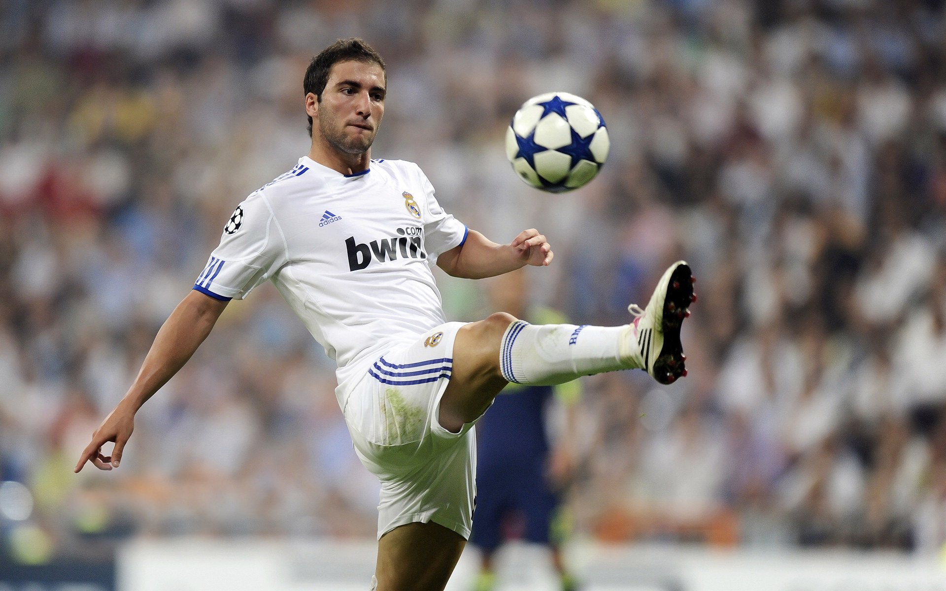 IM体育注册链接-沙漠之巅的决胜时刻,努涅斯关键一击,沙特力压厄瓜多尔