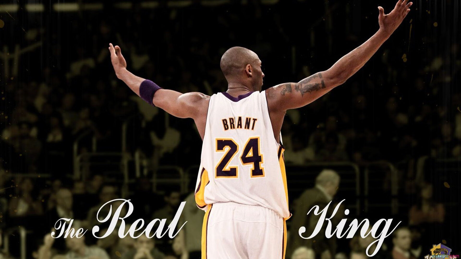 IM Sport-孤勇者的逆袭,周冠宇扛起全队,阿斯顿马丁力克梅赛德斯背后的团队哲学